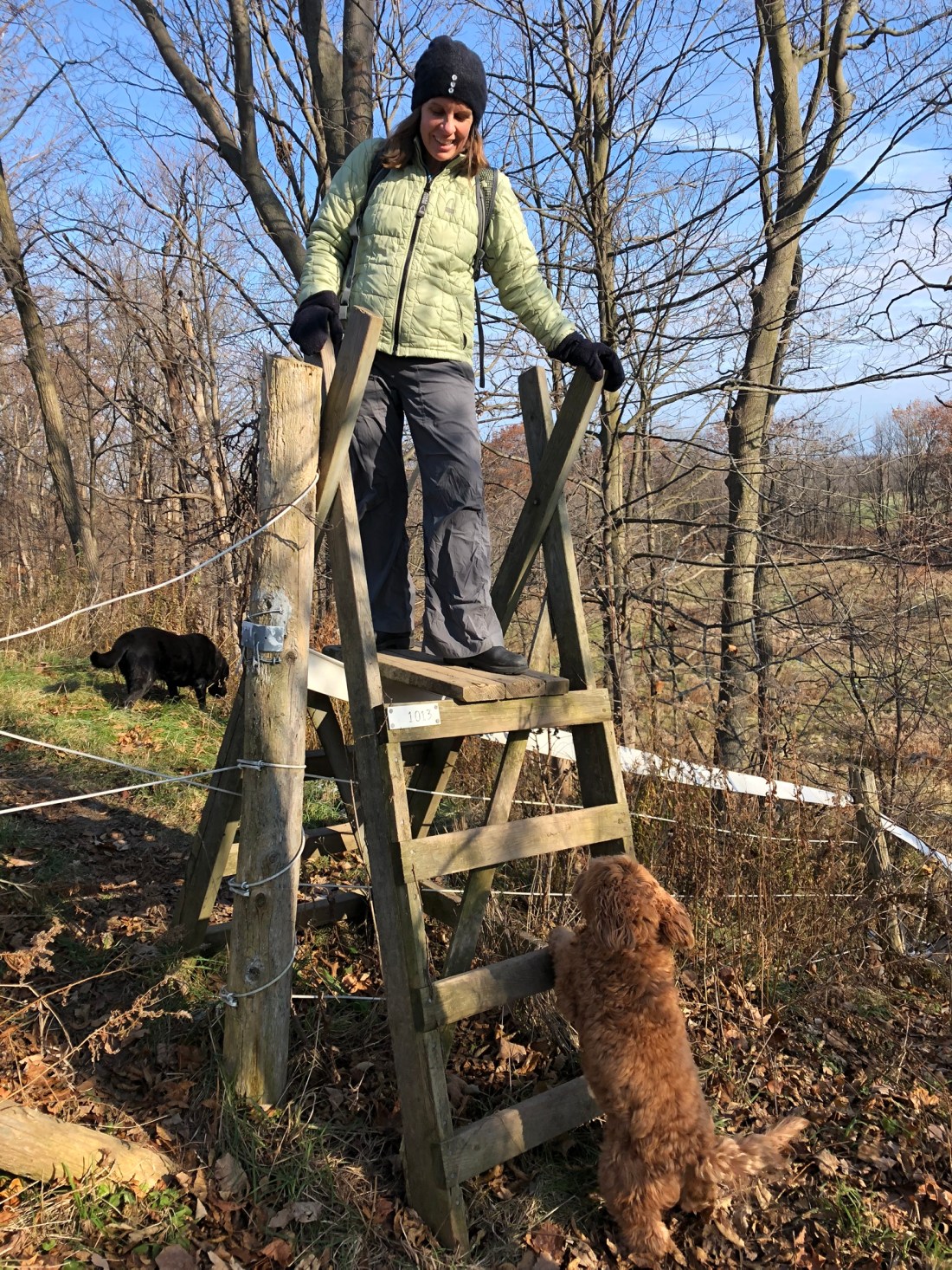 65E33C22-8733-49DD-BA2C-4DD430CD851F