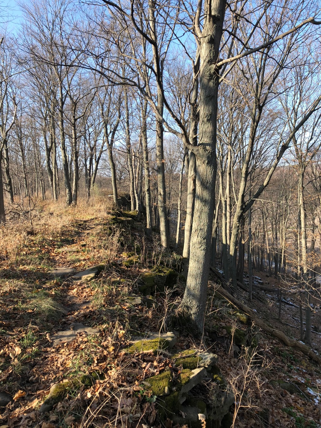 8CD3AD5E-A0E5-4081-B8AF-37E5F1F80576