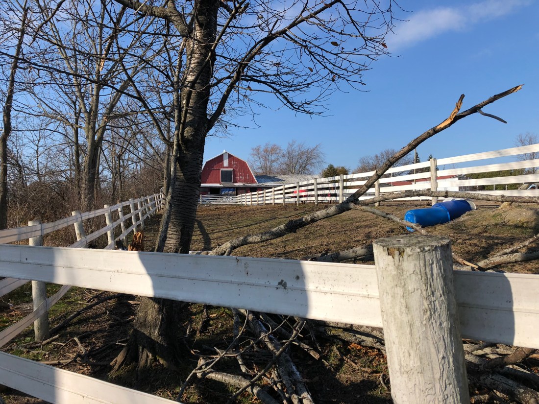 C27694CA-F69A-4B96-AA91-5DE9385D866B